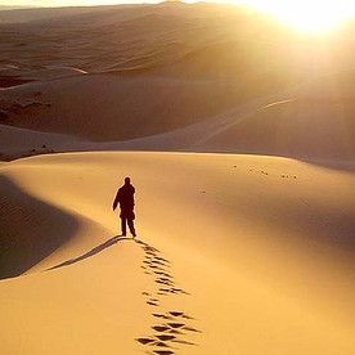 Gobi