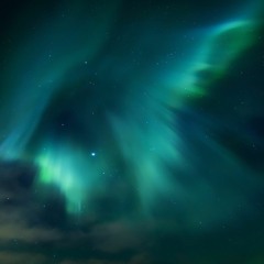 Fireflies (Acoustic Cover w/ Owl City Acapella vocals)