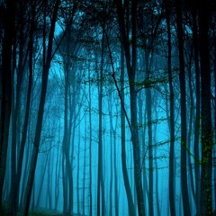 tellme  Prod. Absence