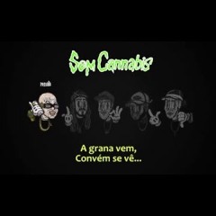 Costa Gold - Sem Cannabis ! (prod- Lotto) - (part- Ari [ConeCrewDiretoria] & Shock [Start])