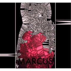 Somebody That I Used To Know - / Prod. Marcus Lythgoe / remix