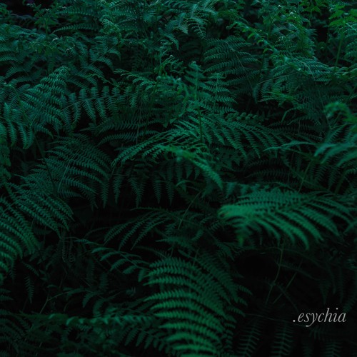 Batu Ozer - Esychia