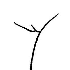 Kuche Kuchence's tracks - FUN preliva radio (classic shitless) (made with Spreaker)