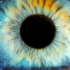 First Temptation - Anarchyk Hybrydation (ft. Y.Cluet)