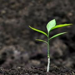 Broken Ground