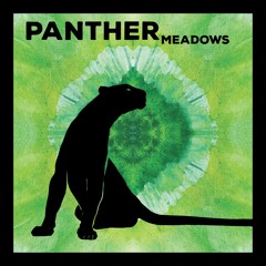 RJ Tripps - Panther Meadows