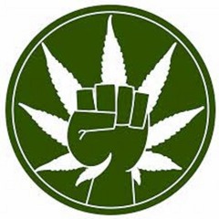 FUCK THE WORLD AND GET HIGH FT. DEV NA$TY