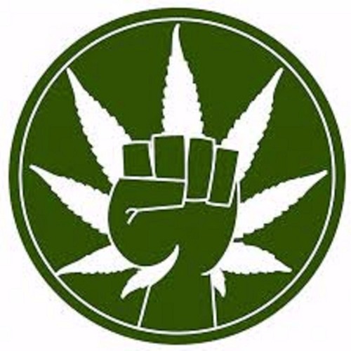 FUCK THE WORLD AND GET HIGH FT. DEV NA$TY