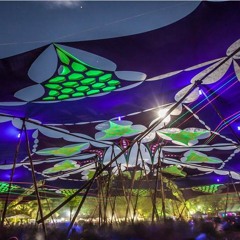 Hoia-Baciu DJ SET - Syndrom Trance - Gayatri Festival 2016!