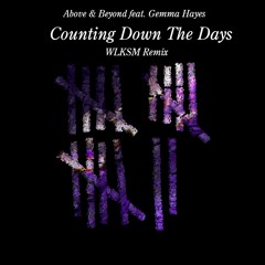 Above Beyond Feat. Gemma Hayes - Counting Down The Days (WLKSM Remix)