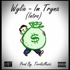 Wylie - Intro (Im Tryna) Prod By. TrrikzMusic