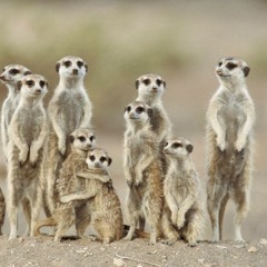 Eco & Dis Def - Diles A Esos Notas