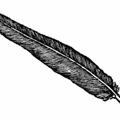 Black Feather
