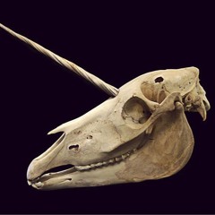 Anuschka @ Mensch Meier_Berlin_2016 - 01 - 29