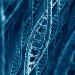 Bio-sthetics Vol. 1
