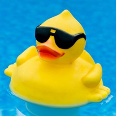 SR - Hot Summer (Original Mix)