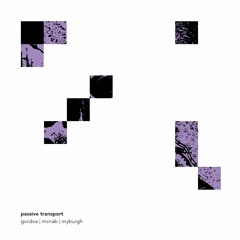 passive transport - gordoa/mcnab/myburgh (SHAM089 album excerpt)