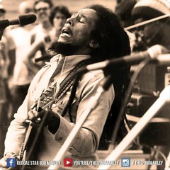 Slave Driver - Bob Marley & The Wailers - [Live at Harvard Stadium/Amandla Festival]