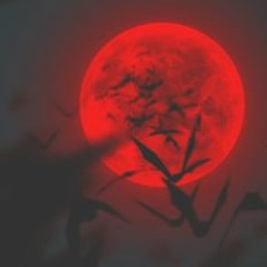 ■Trees are their roots ■ and wind is the wind ■