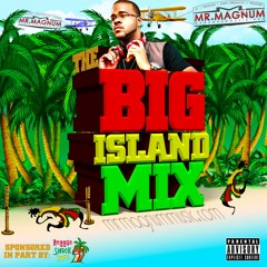 The Big Island Mix Season 2 Episode 23 (Sponsored by @ReggaeShackCafe)