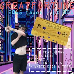 :( 素晴らしい幸運 - 2065 T A P E S // PT.001 {sadboyz/ambient} [珍]