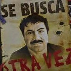 EL CHAPO By Money Marv