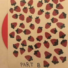 Boatsandbirds(rough)