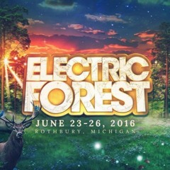 Frolicking in the Forest - EF 2016 HYPE PLAYLIST