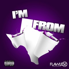 Dj Flawless - Texas Hip Hop Mix