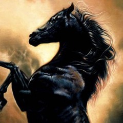 Saddle Up - The Black Stallions - Track 01