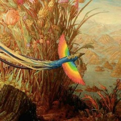 Ramiro Orrantia & Rochelle Szmaciarz  - Siento Fuego