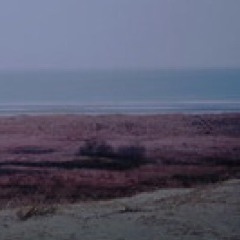 The Feeling of stubborn faith