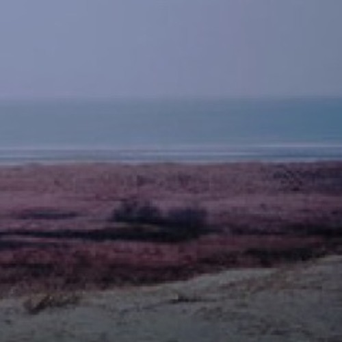 The Feeling of stubborn faith