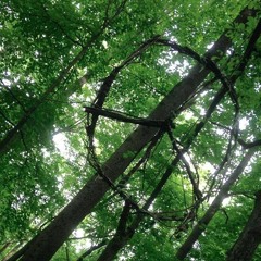 Crazy Rap (Acapella Cover)