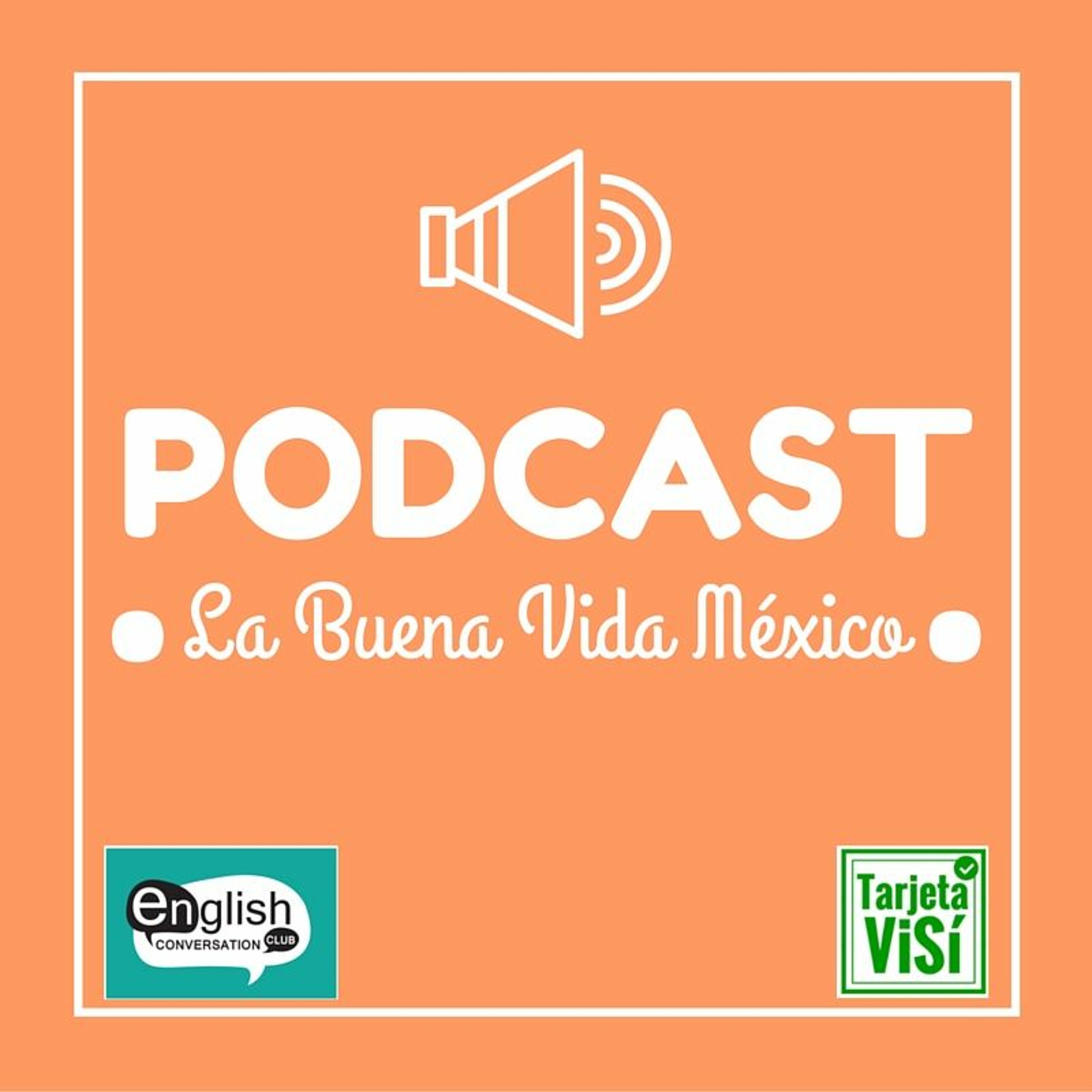 sistemasitiovisimexico