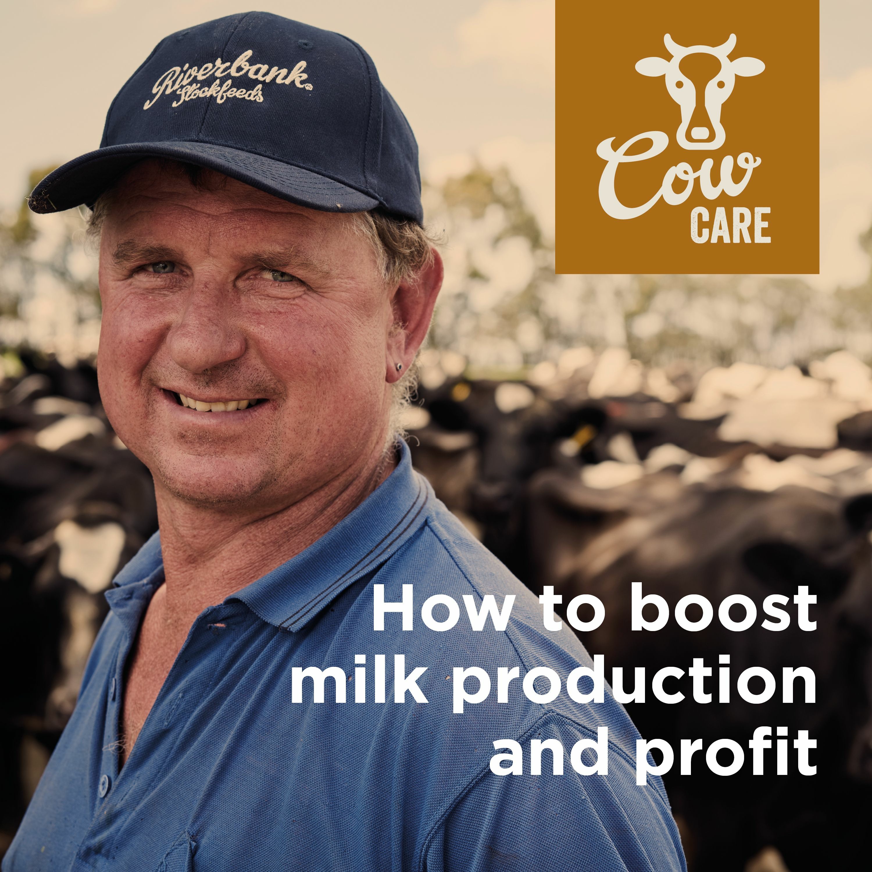 Cow Care: Digestion and the Rumen episode artwork