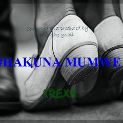 Hakuna_Mumwe (Prod.Tinashe)