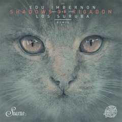 Edu Imbernon & Los Suruba - Shadows Of Rigadon (Original Mix)