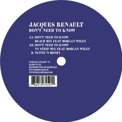 a2 don’t need to know (ny strip mix feat morgan wiley)