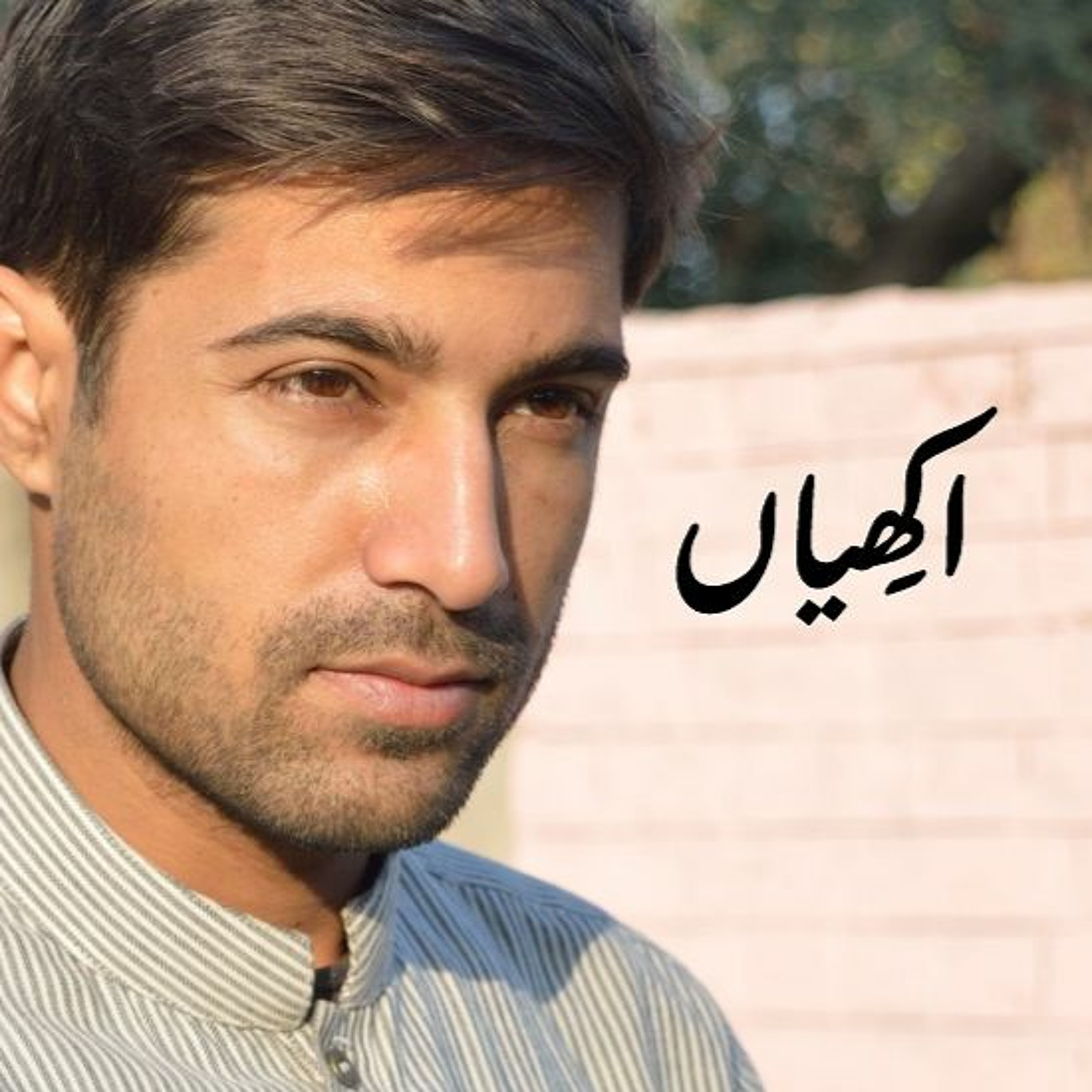 Sheharyarteetu