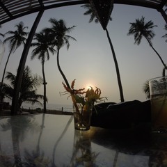 Atif Aslam - Jeena Jeena (Badlapur) Vs Igor Krsmanovic - Roots (Dj Lion Mashup)