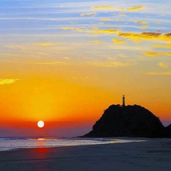 Brazilian Waves (with. Ann Glownia)