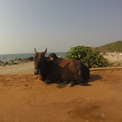 Bombay - Hamma Hamma VS Miguel Bastida - Soul Reactions (Gorge S Remix)(Dj Lion Mashup)