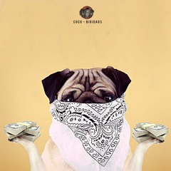 COCO - BIGIDAGS