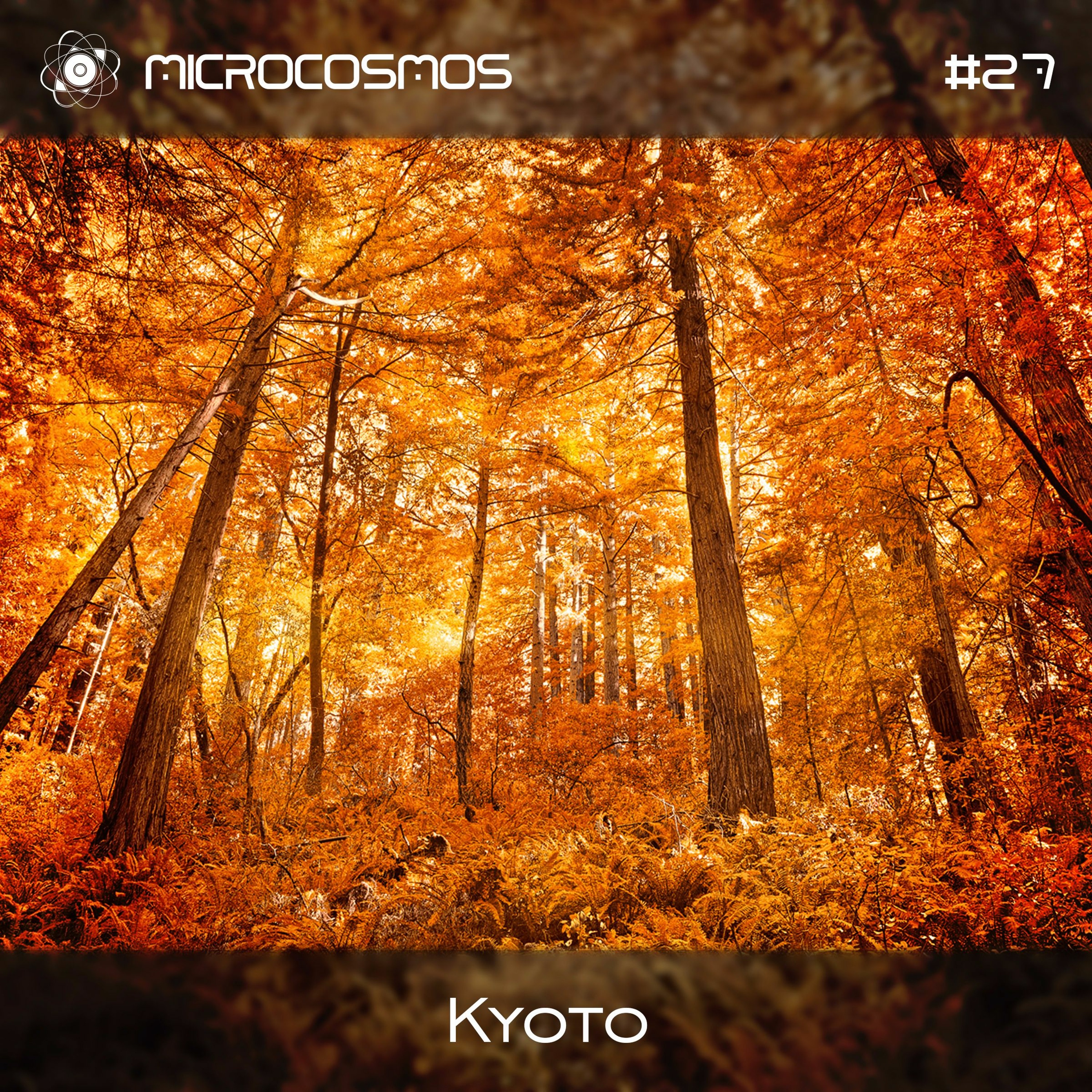 Microcosmos ChillOut and Ambient