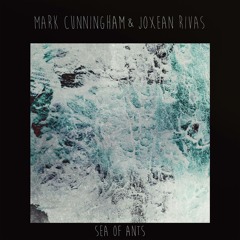 Mark Cunningham & Joxean Rivas - Homenaje free a Bill Dixon - Sea Of Ants