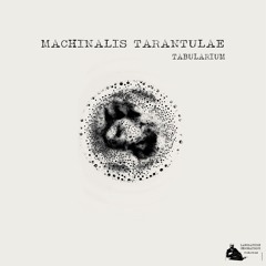 9 - Melanocetus(M O D G E I S T Rmx)