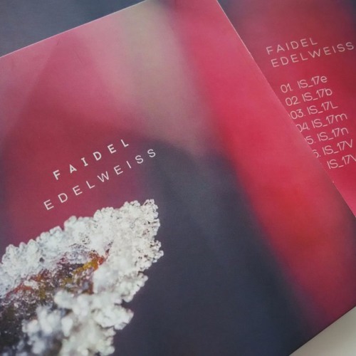 Faidel - IS 17L