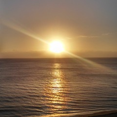 Color Theory 01-27-2016 [LIVE] from Orlando, FL. @jungletrain