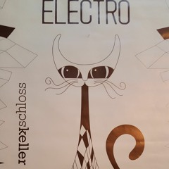 Katze macht Elektro Im Schlosskeller. By Aspi